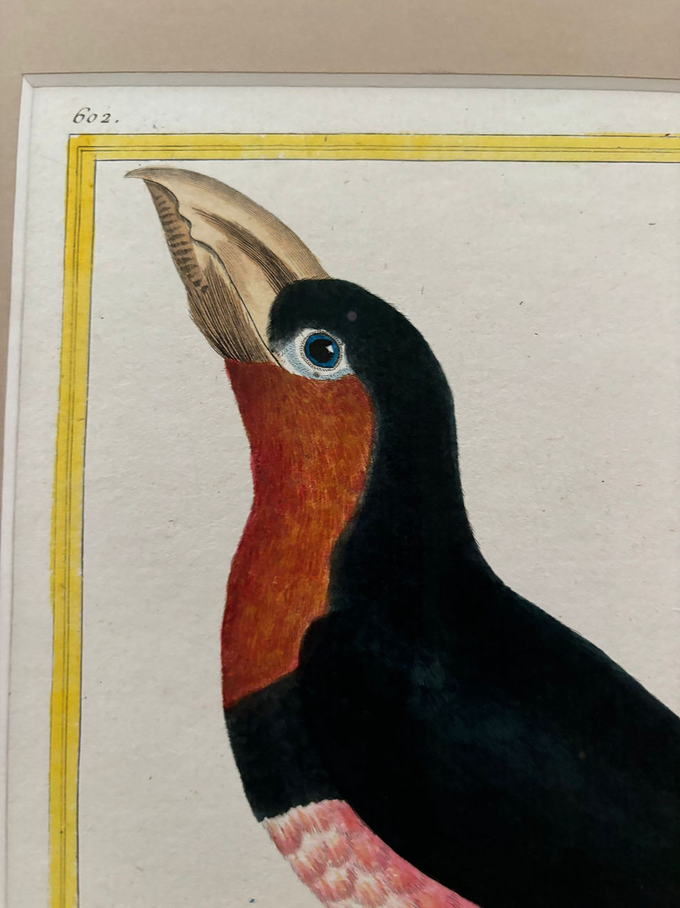 Thumbnail: Set of 2 Martinet Birds