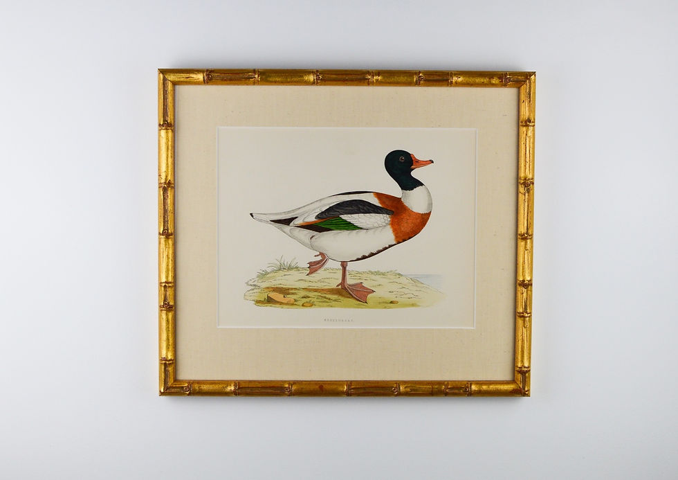 Thumbnail: Ducks by B.Morris - Set of 12