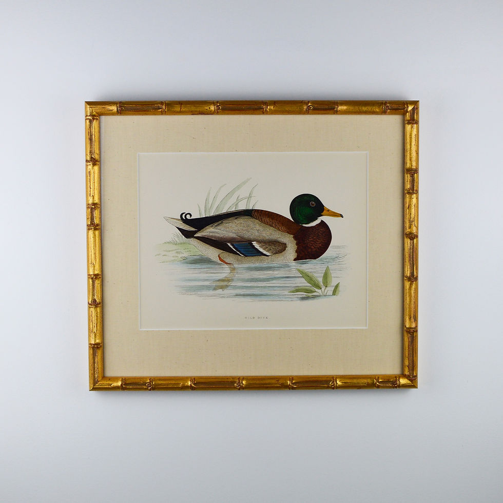 Thumbnail: Ducks by B.Morris - Set of 12