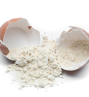 egg.jpg