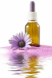 Flores de Bach, terapeuta buena, La Florida, Santigo, Chile, Normita Medina, Norma Medina, medicina natural, flor, control de las emociones