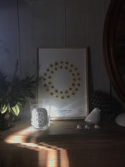 IMG_2723.jpeg