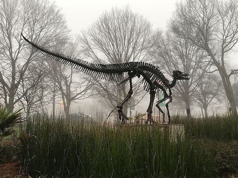 McClung Museum of Natural History and Culture at the University of Tennessee