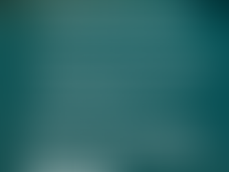 Pool Barriers are Important!