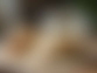 MYO Beginner Friendly, Almost-Effortless Sourdough Starter Mold-Free Forever