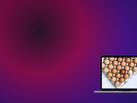 Campaign: B2C Multi-Channel Approach for 24Eggs
