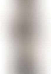 THORGAL, LA LEGENDE DE LA BD