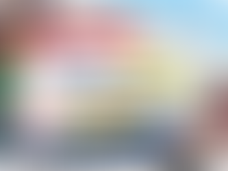  Sortie au village artisanal de soumbédioune