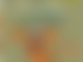 Notre sélection de cette semaine