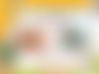 SORTIE JEU DE PISTE A L'ILE DE NGOR