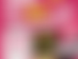 *閱級*打怪...特斯拉便宜...但....區快充 更!便!宜!