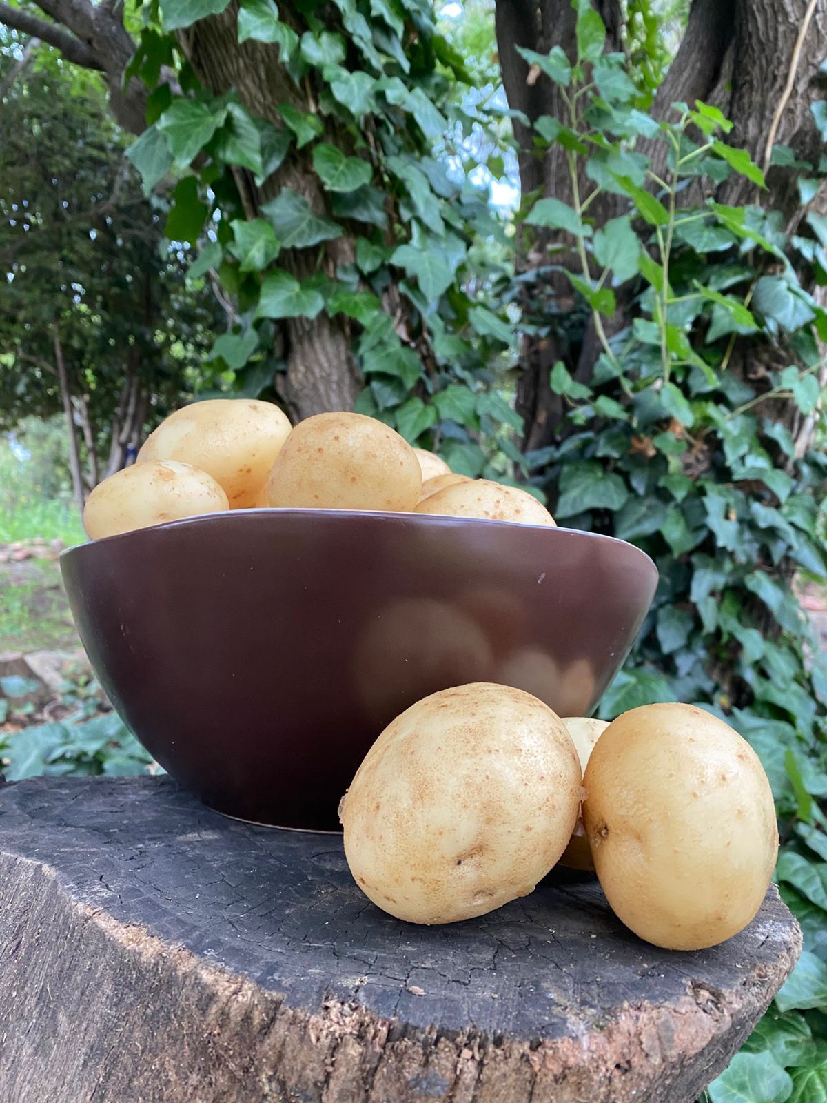 Organic Potatoes 1Kg