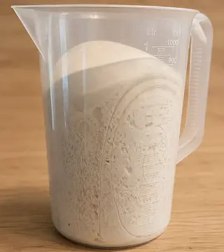 gigetto sourdough started at Fermento Bakery in Amsterdam