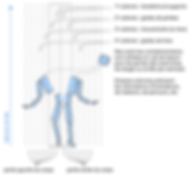 Ill-web-CNEM-03.png