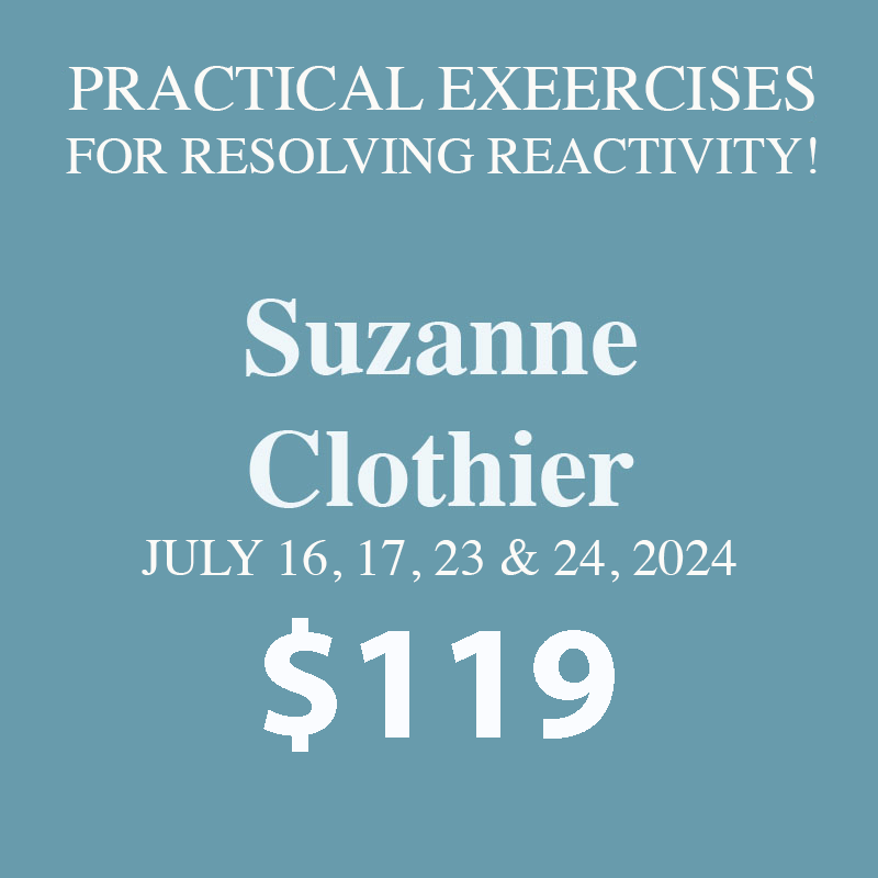 exercises-for-reactive-dogs-puppyworks