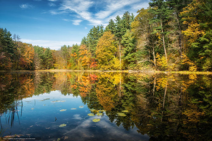CT Pond.jpeg