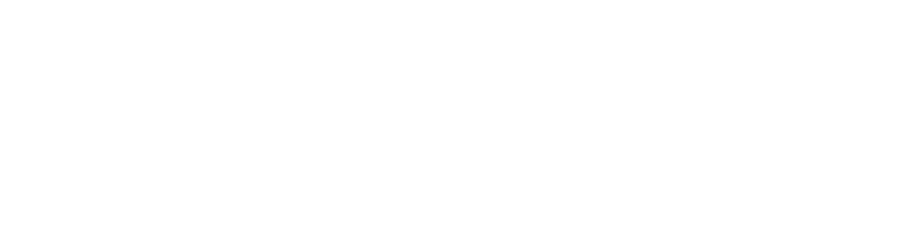 IEM-logomag-2.gif
