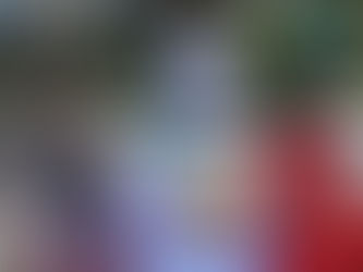 What I Have Loved Being a Part of Book Harvest