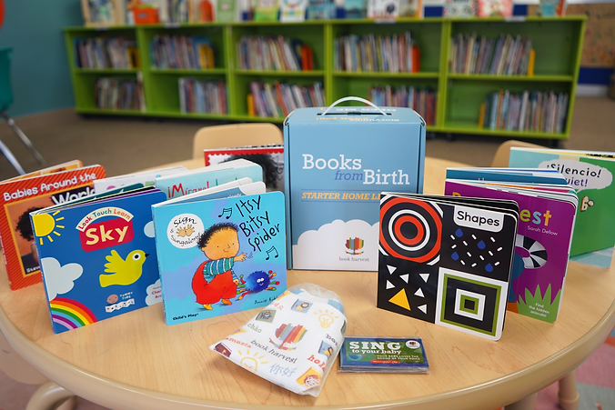 BfB unpacked books standing.png