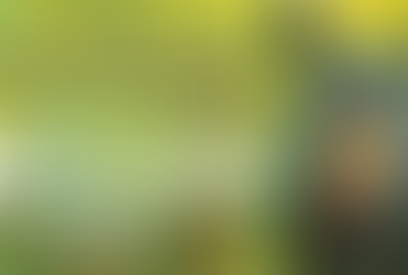 Read for the Record–Final Report!