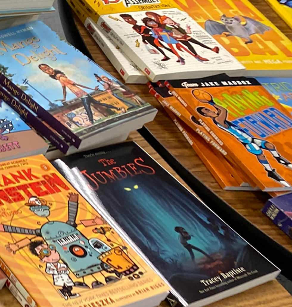 Mirrors, Windows, Sliding Glass Doors Book Harvest