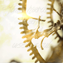 Time Hardens Hearts