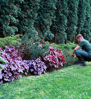 Gardener _edited_edited.jpg