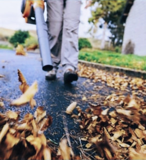 leaf cleanup blower_edited_edited.jpg