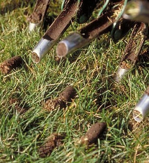 aeration.jpg
