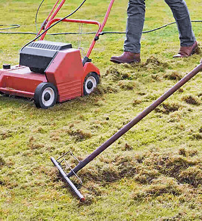 dethatching_edited.jpg