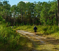 a grassy trail as seen in lakeland florida at the long haul 100 course
