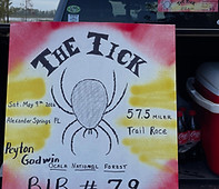 the tick.jpg