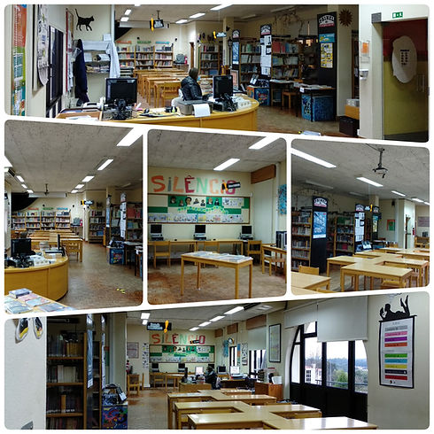 02_Fotos_biblioteca (1800 x 1800).jpg