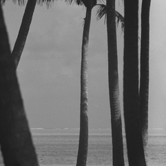 Inspiration; Pierrot photography