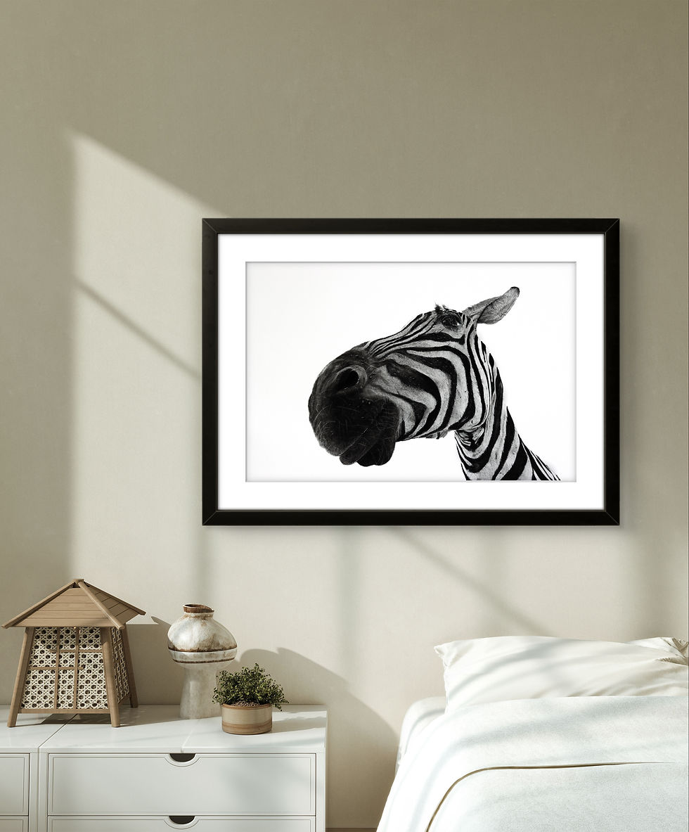 Thumbnail: Stripes - Limited Edition