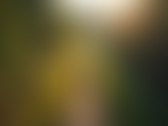 Profissional em caminhada na natureza, simbolizando jornada de vida