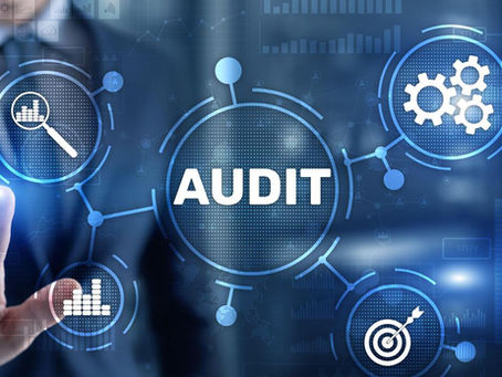 What the Auditors Say