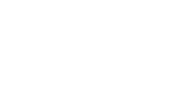 v.png
