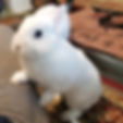 ree