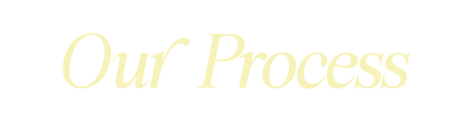Our_Process.png