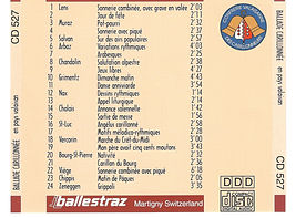 00_bc_cd_Hülle_back.jpeg