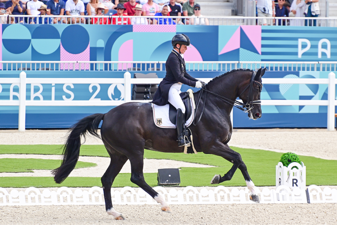 Dressage Tips from the Judge's Box - Horse Illustrated