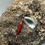 Thumbnail: Dragon Fly
