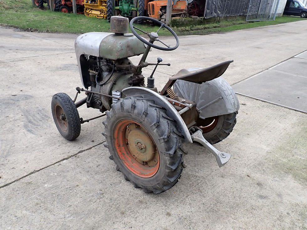 Miniatura: Lugli Golia Enfield, the taller Lilliput