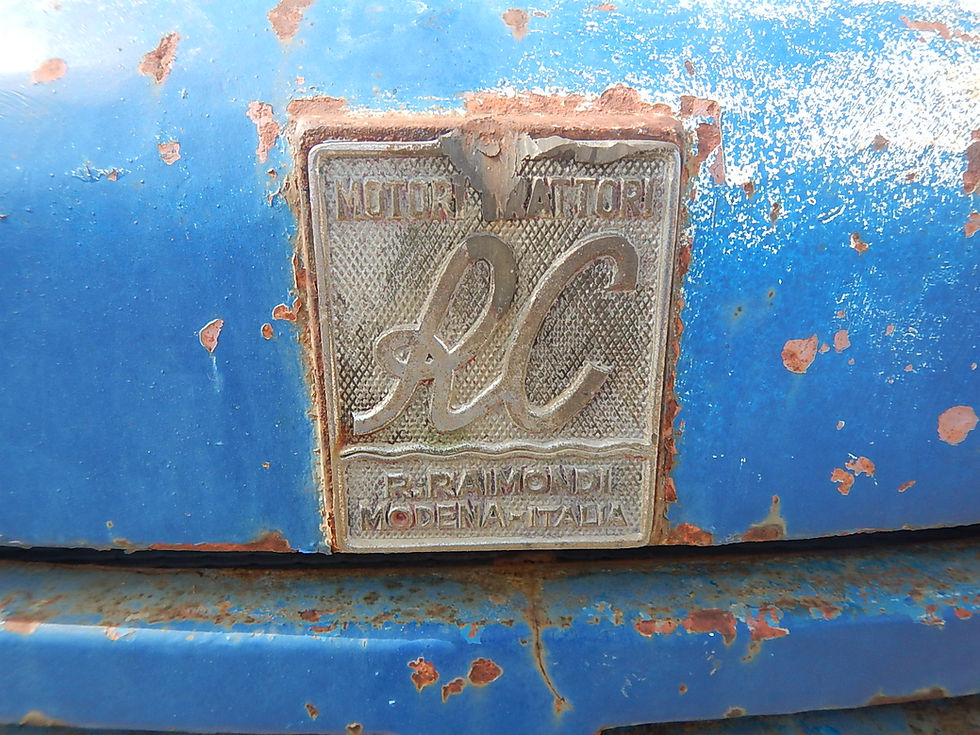 Miniature : Raimondi Bruco 40 T48