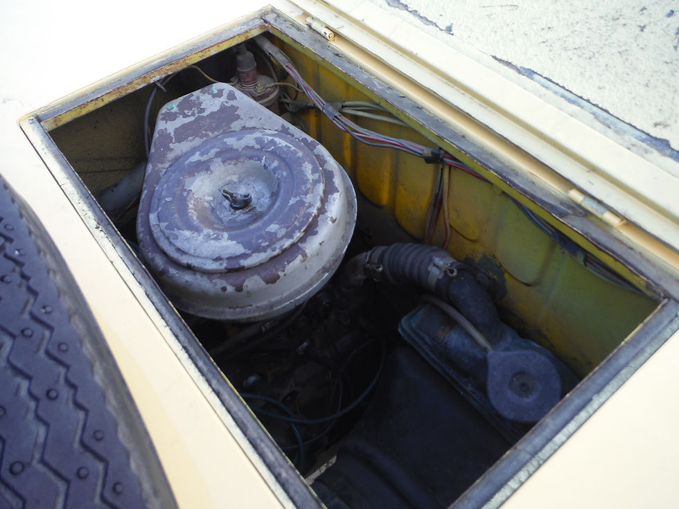 Thumbnail: Fiat 600 Savio Jungla