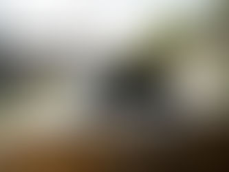 9D headset positioned on a tree trunk ready for a 9D breathwork session 