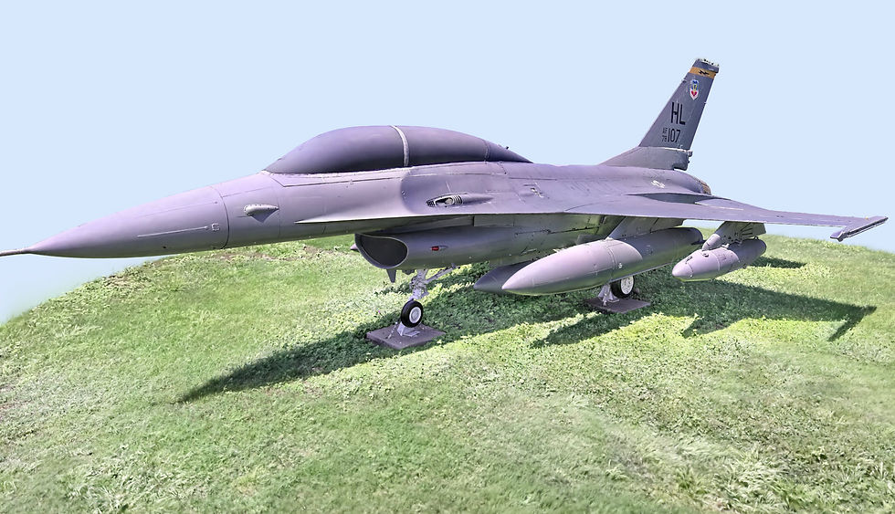 F16.jpg