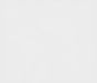 depositphotos_101351882-stock-illustration-horizontal-gray-and-white-sketch_edited.jpg