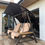 Thumbnail: Titan Glass Garden Swing